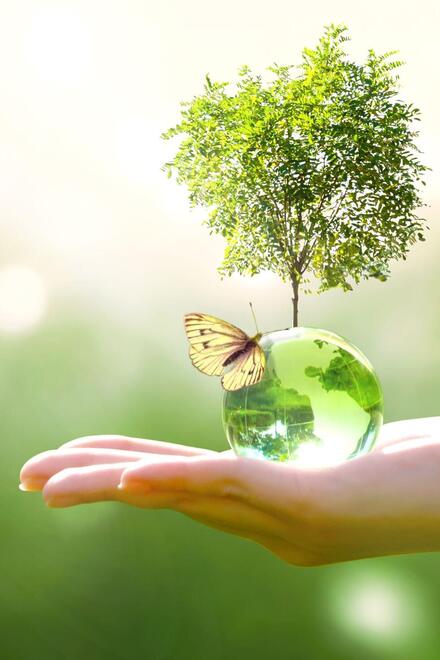 Natur Bild mit Hand in dessen Innenfläche ein Baum wächst und ein Schmetterling liegt 