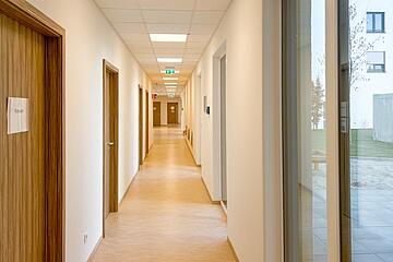 Heller Flur mit vielen Türen und Fenstern, durch welche Licht hereinscheint.