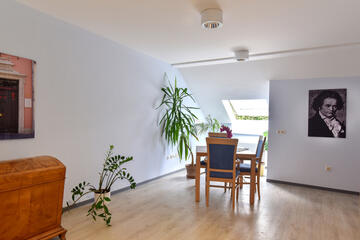 Raum mit Grünpflanzen, Deko und Tisch mit Stühlen.