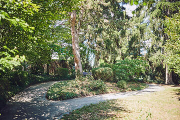 Schön angelegter Gartenweg im Johanniter-Haus Sinzig