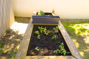Rappelritter Blumenbeet