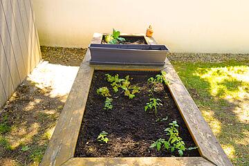 Rappelritter Blumenbeet