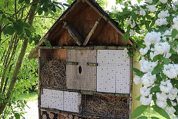 Insektenhotel Johanniter-Kindertagesstätte "Burgspatzen"