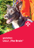 Schwarzer Hund mit aufrechten Ohren blickt fröhlich zur Seite; Text: „LILLI – The Brain“.