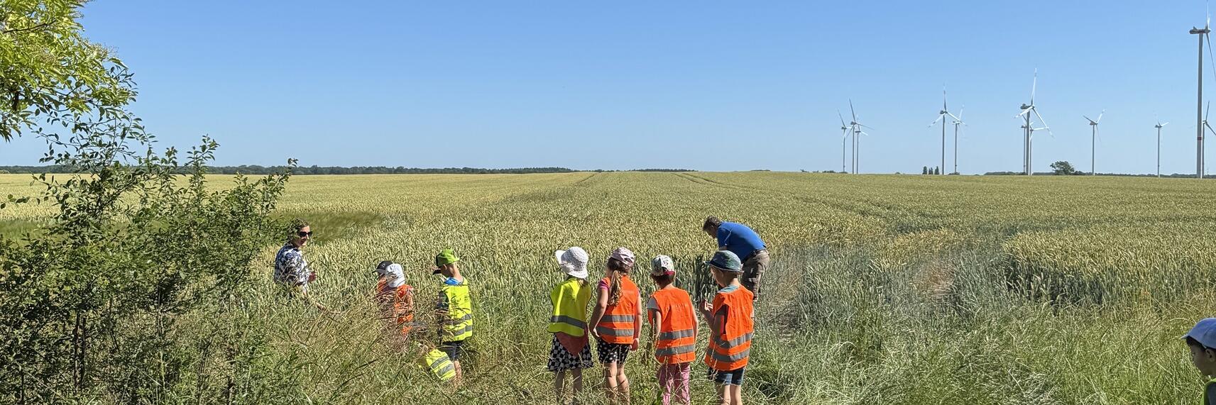Kindergartenkinder beim Wandern und Entdecken der Natur