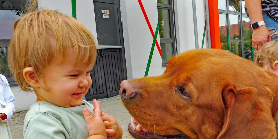 Ein Kind und ein Hund