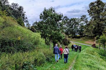 Wandergruppe auf Naturfeldweg, von hinten fotografiert