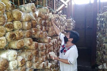 Die Präsidentin mit Mundschutz neben gestapelten Tüten voller Pilze