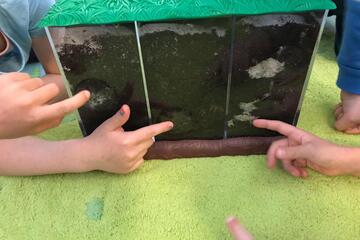 Indoorkomposter Johanniter-Kinderhaus bei Conrad Electronic SE