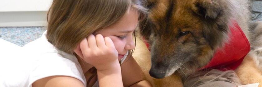 Johanniter Lesehund hilft bei Lesen