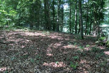 Wald Johanniter-Waldkindergarten "Märchenzwerge"