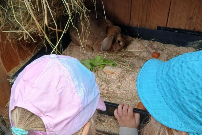 Kinder betrachten einen Hasen im Stall