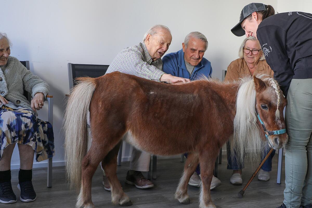 Therapieponys besuchen Tagespflege in Regensburg