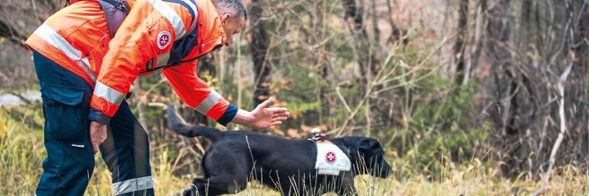 Die Johanniter-Rettungshundestaffel Hamburg im Einsatz.
