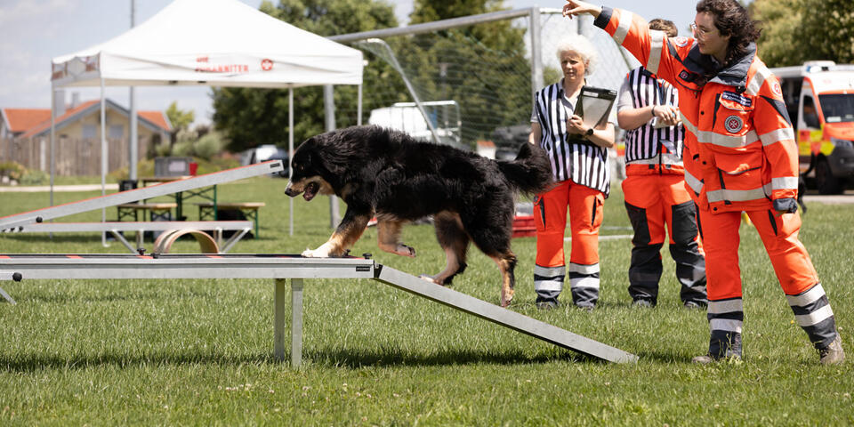 Johanniter-Rettungshundeführerin lotst schwarzen Hund über Hindernis im Freien.