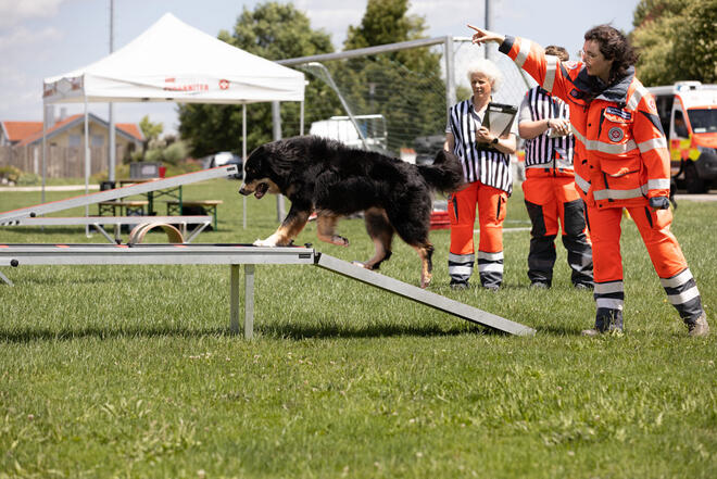 Johanniter-Rettungshundeführerin lotst schwarzen Hund über Hindernis im Freien.