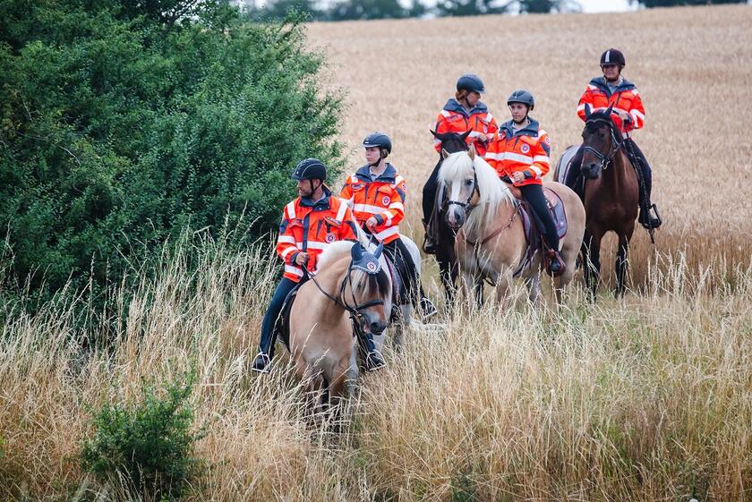 Mehrere Einsatzkräfte der Johanniter-Reiterstaffel sitzen auf Pferden.
