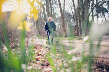 Dame mit Rollator hinter Frühlingsblumen