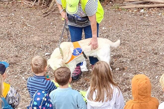 Mehrere Kinder stehen im Halbkreis auf einem Außengelände des Kindergartens. Vor ihnen beugt sich eine Frau zu einem Blindenführhund hinunter und streichelt ihn. Der Hund trägt ein gelbes Führgeschirr. Die Kinder beobachten interessiert die Begegnung. 