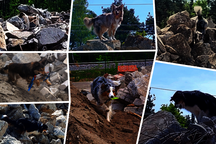 Trümmersuchhunde und Teams der Johanniter-Rettungshundestaffel trainieren in Trümmerhaufen unter realen Bedingungen