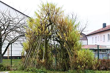 Naturtippi Johanniter-Kinderkrippe "Turmwichtel"
