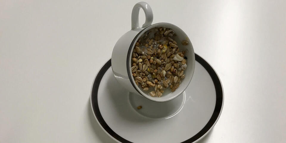 Eine Tasse gefüllt mit Vogelfutter
