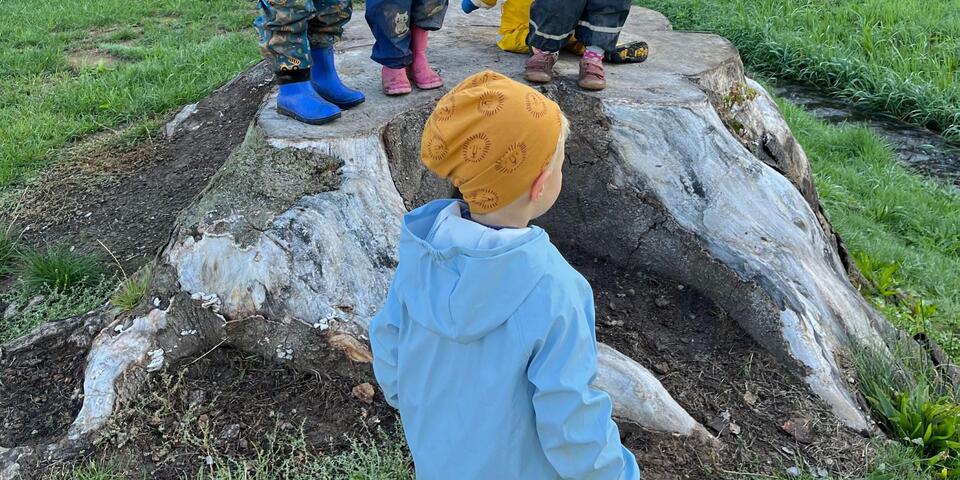 Ein Kind an einem Baumstumpf