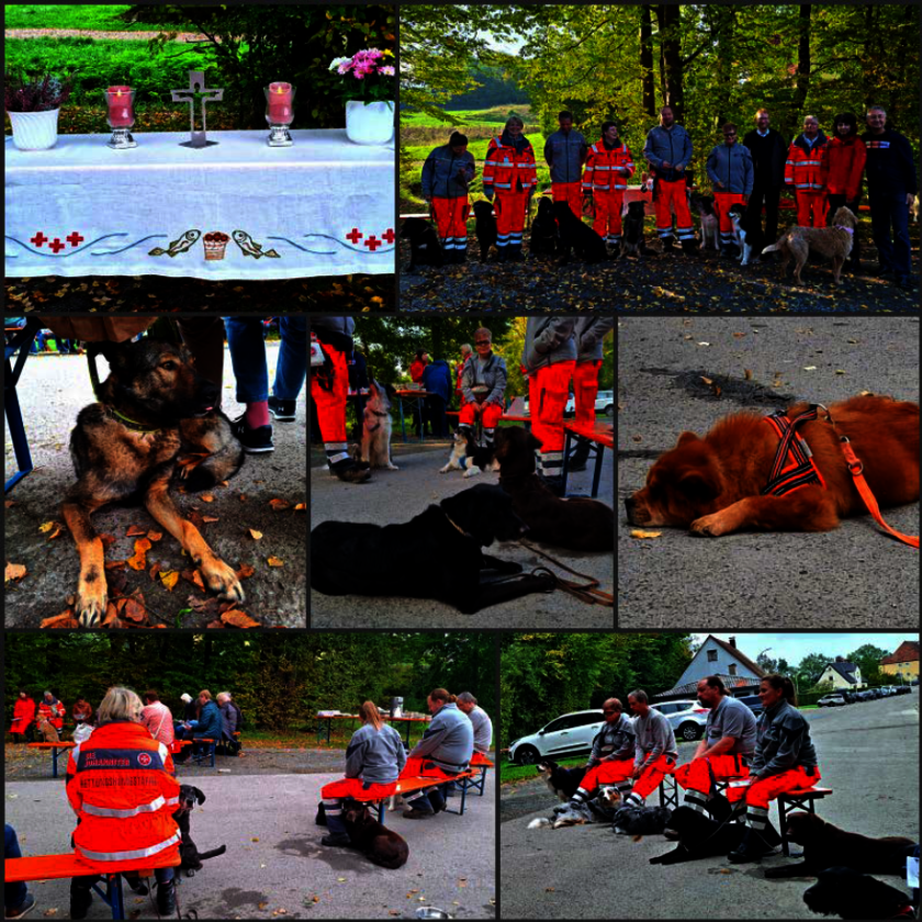 Hier ist eine Bildcollage zu sehen. Die einzelnen Bilder zeigen Mitglieder der Rettungshundestaffel zusammen mit ihren Hunden beim Hundegottesdienst im Freien.