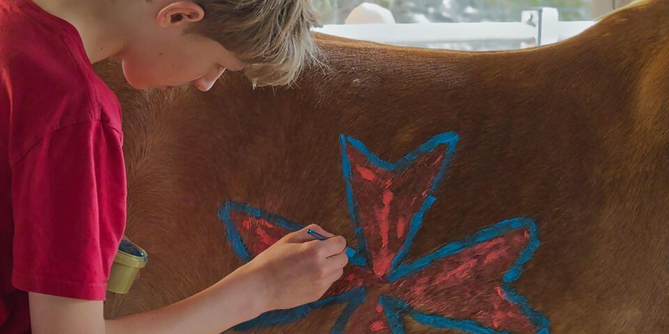 Ein Junge im alter von ca. 13 Jahren bemalt mit Fingerfarben den Bauch eines Haflinger-Ponys