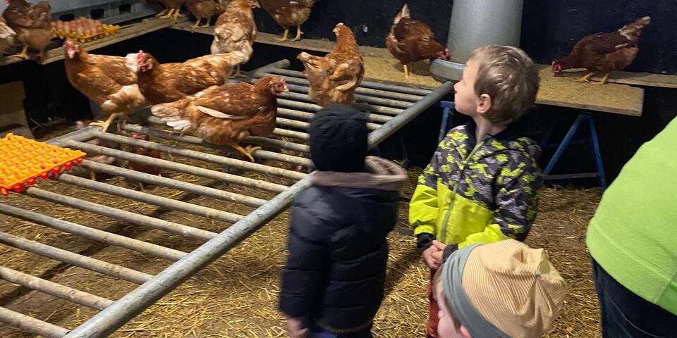 Kinder besuchen den Stall 2