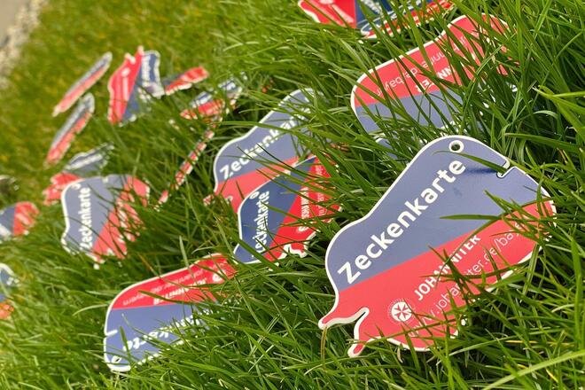 Zeckenkarten der Johanniter liegen zur Deko im Gras