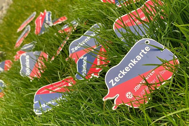 Zeckenkarten der Johanniter liegen zur Deko im Gras