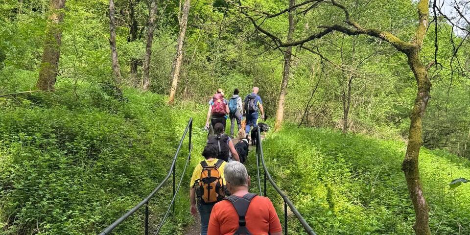 Mensch-Hunde-Team der Rettungshundestaffel diesmal als Wanderer unterwegs. Gemeinsam geht es über eine kleine Holzbrücke über einen Bachlauf durch den Wald