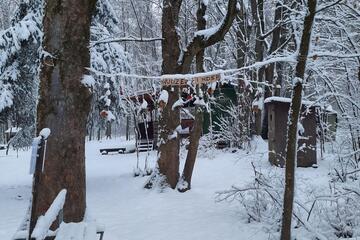 Wald im Winter Johanniter-Waldkindergarten "Waldeglofsheim"