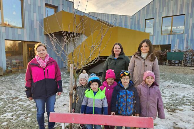 Präsentation des neuen Zwetschgenbaums