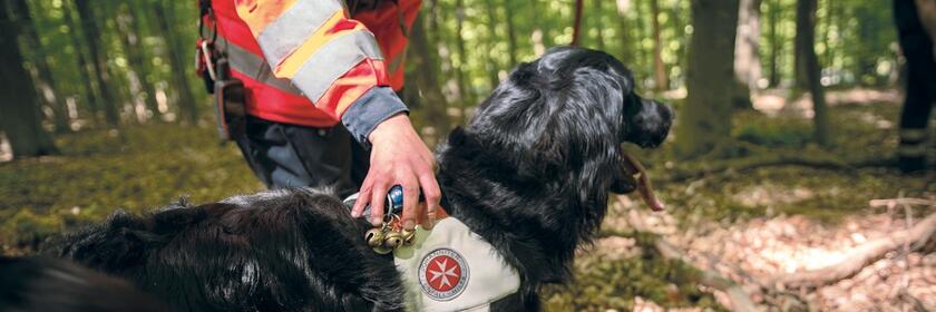 Die Vierbeiner der Rettungshundestaffel werden bestmöglich für die Vermisstensuche ausgebildet.