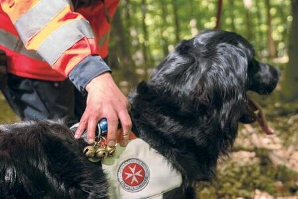 Die Vierbeiner der Rettungshundestaffel werden bestmöglich für die Vermisstensuche ausgebildet.