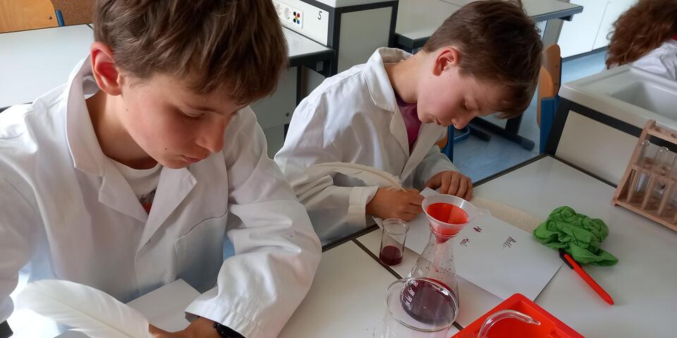 Kinderakademie: Schreiben mit Klatschmohn