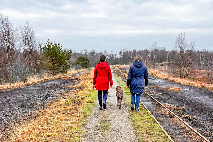 Zwei Menschen spazieren durch eine Landschaft mit einem Hund.