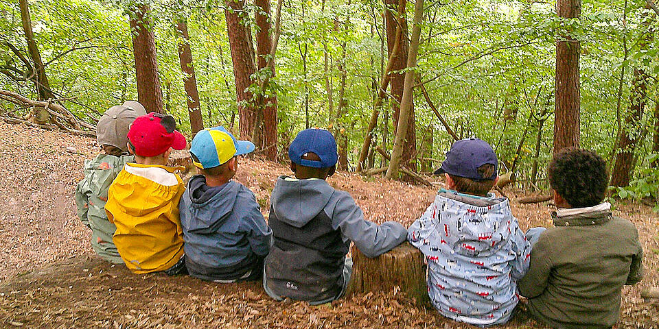Kinder sitzen au braunem Laub in einem Wald.