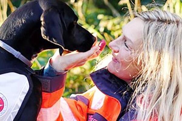 Ehrenamtliche setzen sich in vielen Bereichen für das Wohl der Menschen ein.