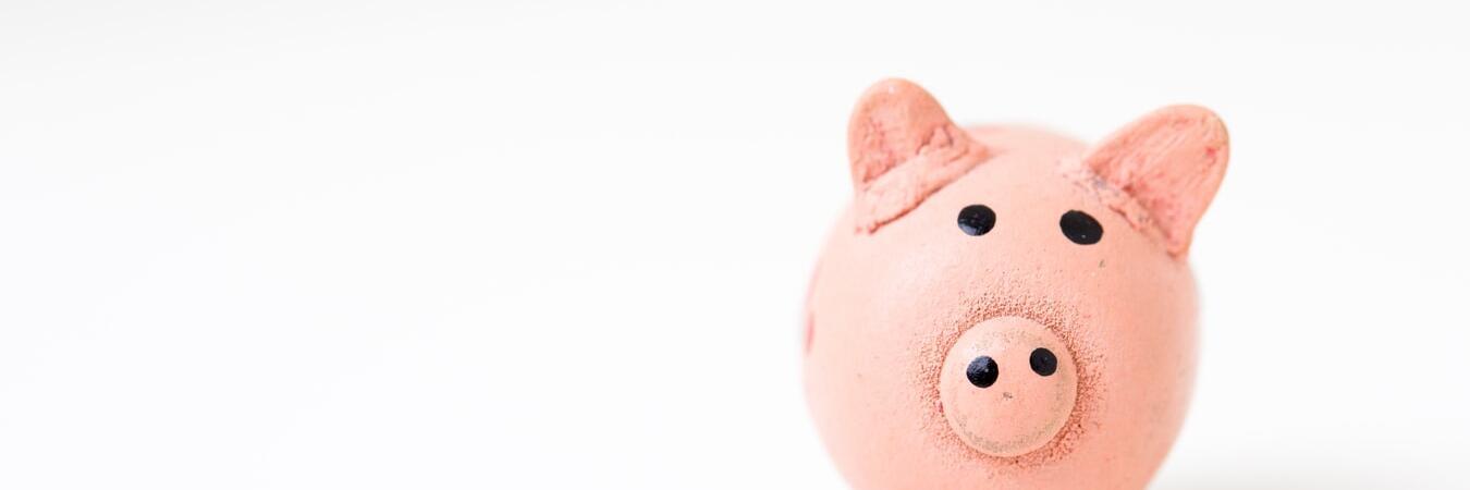 Kleines rosa Sparschwein steht auf weißem Hintergrund.