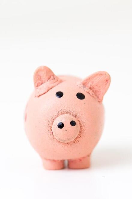 Kleines rosa Sparschwein steht auf weißem Hintergrund.