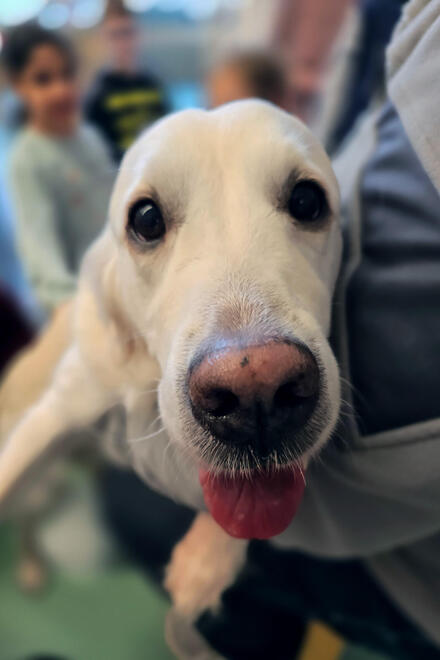 Lesehund Leni auf dem Arm.