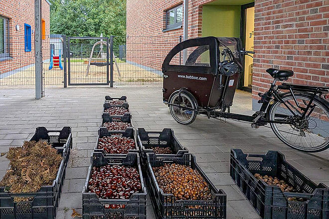 Neben einem Lastenfahrrad stehen mehrere Kisten voller Kastanien, Walnüsse, Haselnüsse und Eicheln.