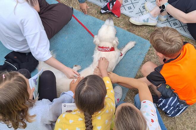 Kinder sitzen in einem Kreis auf Decken im Freien und streicheln gemeinsam einen cremefarbenen Therapiehund mit rotem Geschirr.
