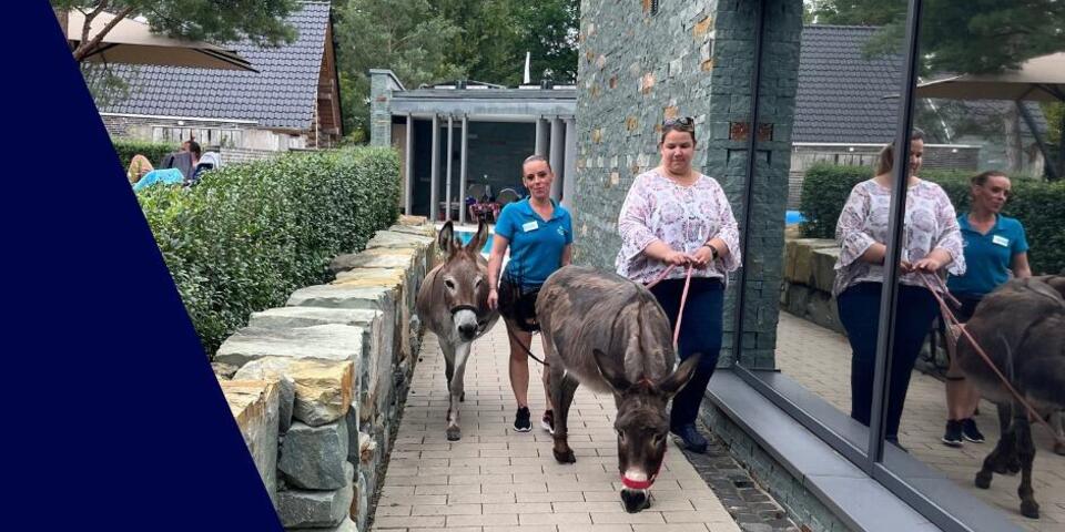 2 Esel in der Bördetherme Bad Sassendorf 