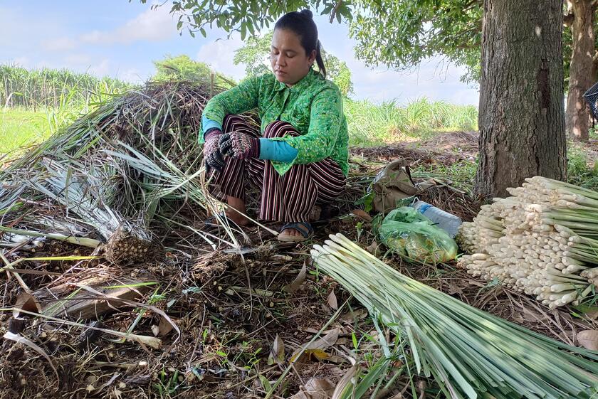 Eine Frau zwischen vertrockneten Pflanzen