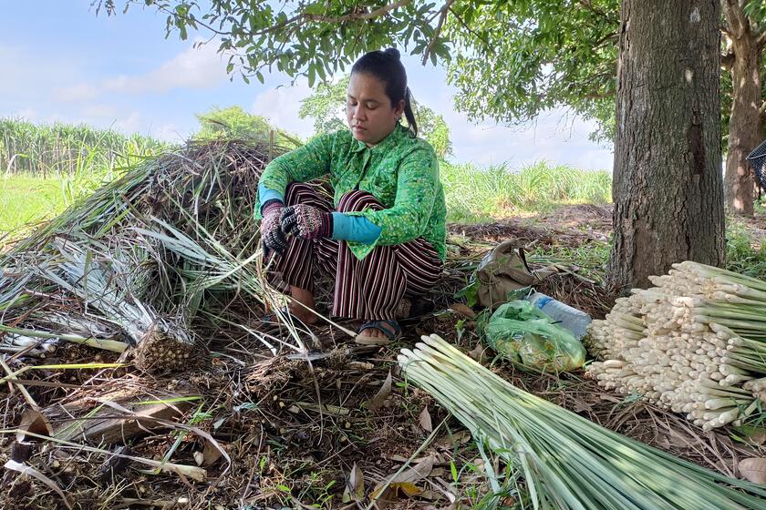 Eine Frau zwischen vertrockneten Pflanzen